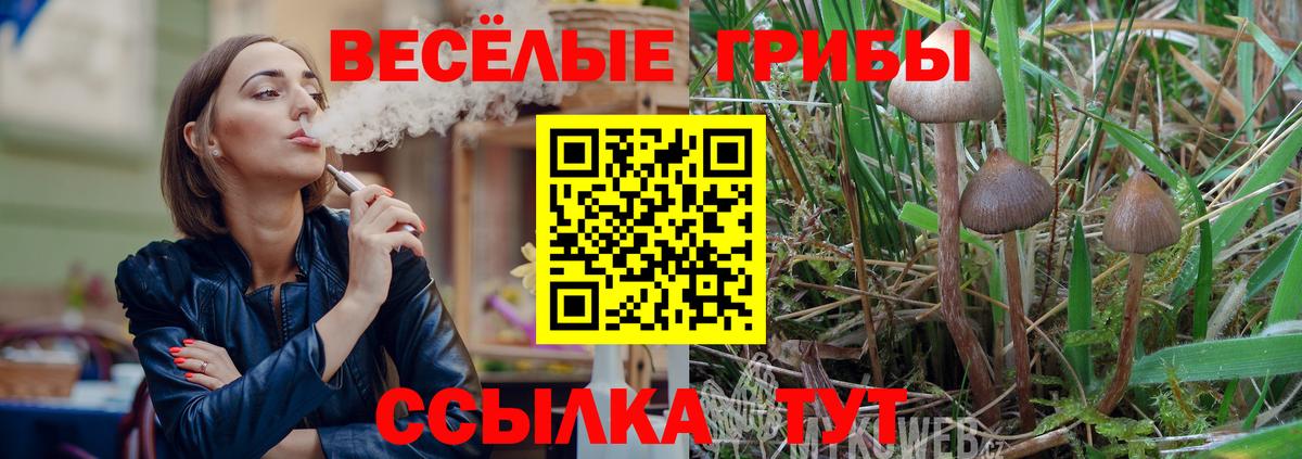сколько стоит  Вход с VPN  Чита  Галлюциногенные грибы мицелий  Галлюциногенные грибы ЛСД 