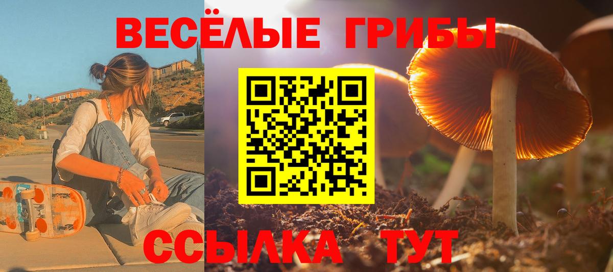 Галлюциногенные грибы MAGIC MUSHROOMS Чита